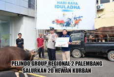 Idul Adha Berkah: Pelindo Regional 2 Palembang Sebar 20 Hewan Kurban ke Masyarakat