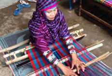 Suku-suku di Provinsi Nusa Tenggara Barat: Ada Sasambo dan Kelompok Suku Lainnya
