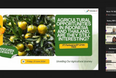 Jajaki Peluang Pertanian di Indonesia dan Thailand, Apakah Masih Menggiurkan?