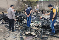 Kebakaran di Sematang Borang, Polisi Selidiki Penyebabnya