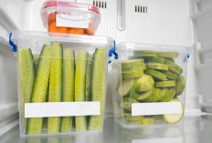 Daftar Makanan Tidak Boleh Dibekukan di Kulkas, Risiko Buat Kesehatan, Kenapa?