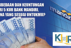 Catat! Perbedaan dan Keuntungan dari 5 KUR Bank Mandiri, Mana yang Sesuai Untukmu?