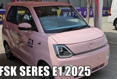 Review Lengkap dan Spesifikasi DFSK Seres E1 2025, Desain Imut, Harga Irit, Fitur Ga Kaleng-Kaleng!