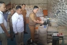 Jelang Nataru 2025, Stok Beras Aman 3 Bulan, Junirman: Ada 1.100 Ton di Gudang Bulog Lahat