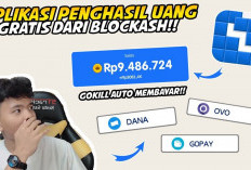 Bikin Hati Gembira! Ini 7 Aplikasi Penghasil Saldo DANA Gratis, Buruan Langsung Cair