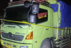 Polda Sumsel Ungkap Pengangkutan 40 Ton Batubara Ilegal, Aktor Intelektual Mulai Terkuak