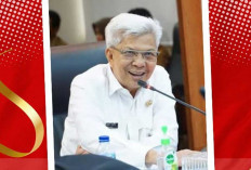 Mantan Wakil Gubernur Sumsel Mawardi Yahya Jabat Komisaris Independen PT Garuda Indonesia