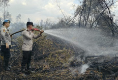 Tim Gabungan Berjibaku Padamkan Karhutla di Desa Permata Baru, Lebih Kurang 4 Hektar Lahan Terbakar