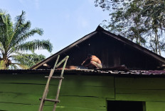 Bagian Dari Rehab RTLH Titik 2 Program TMMD ke-128 Ini Bakal Diganti Material Baru