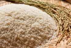 Daerah Penghasil Beras Terbesar di Sumatera Selatan, Juaranya Zona Penyangga Palembang!