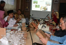 Sulap Destinasi Wisata Baru di Palembang, Ini Kawasan Kerajinan Eceng Gondok yang Unik dan Cantik