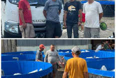 Sukseskan Program Ketahanan Pangan, Pemdes Pagarjati Lahat Lakukan Ini, Intip Yuk