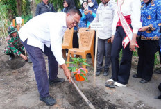 Wali Kota Prabumulih H Arlan Hadiri Pembagian Bibit Tanaman Peringati Hari Lingkungan Hidup Sedunia 2026