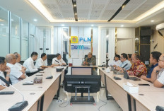 Kawal KEK Tanjung Carat, PLN Jamin Ketersediaan Daya Listrik di Kawasan Industri