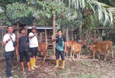 KEREN! Pemdes Jajaran Baru Lahat Alokasikan Rp 137 Juta untuk Pengadaan Ini Loh