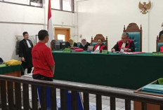 Tok! Jual Obat Herbal Vitalitas Tanpa Izin, Pria di Palembang Divonis 12 Bulan Penjara