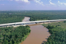 Progres Tol Jambi-Rengat Terus Dikebut Hutama Karya, Koneksi Sumatera Makin Kuat!