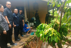 Respons Cepat, Ketua DPRD Bersama Anggota Tinjau Lokasi Tanah Longsor di Karang Raja