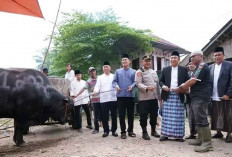 Sekda Ogan Ilir Serahkan Sapi Batuan Presiden Prabowo Berbobot 1,2 Ton di Masjd Al Bahori Tanjung Raja