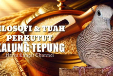 Bukan Burung Biasa! Ini Makna Filosofi dan Tuah Perkutut Kalung Tepung