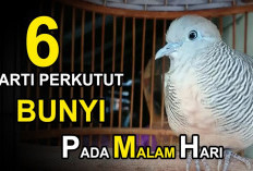 Bikin Merinding! 6 Mitos Perkutut Bunyi Malam Hari yang Masih Dipercaya