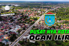 Mengungkap 7 Fakta Menarik Ogan Ilir, Sang Penghasil Nanas Terbesar di Sumsel!