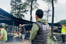 19 Tungku Penyulingan Minyak Illegal dibongkar Secara Mandiri, Inilah Upaya Polsek Sanga Desa, Yuk Lihat