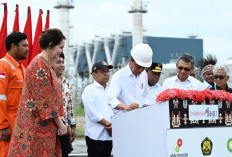 Presiden Jokowi Resmikan PSN Tangguh Train 3 di Teluk Bintuni