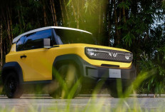 Gaya Unik, Teknologi Taktis! VinFast VF 3 Ternyata Simpan Kelebihan dan Kekurangan yang Siap Bikin Tercengang