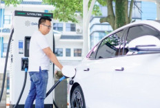 Sepanjang Periode Nataru, PLN Catat Konsumsi Listrik EV Melonjak Jadi 479 Persen