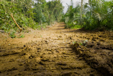 GASKEN! Bahan Material Rehab RTLH TMMD 128 Telah Siap Digunakan