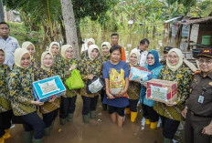 Prihatin Korban Banjir Musi Banyuasin, Ini yang Dilakukan Ketua IAD Wilayah Sumatera Selatan
