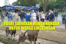 Wujud Kepedulian, PT Pusri Salurkan Hewan Kurban Idul Adha 1447 H ke Warga Sekitar