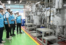 Sidak PLTGU Cilegon, Dirut PLN Pastikan Cadangan Daya Nasional Melimpah