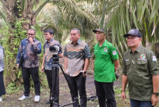 KUD Sejahtera Jadi Role Model Nasional Hilirisasi Sawit