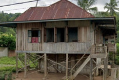 Menggali Makna Historis Mengapa di Sumatera Selatan Banyak Rumah Panggung: Fakta Hingga Alasannya