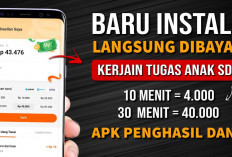 7 Aplikasi yang Bisa Menghasilkan Uang dengan Halal, Bikin Saldo DANA Kamu Nambah!