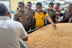 Kapolres Ogan Ilir Dampingi PJU Polda Sumsel Datangi Pengolahan Jagung Pipil di Pemulutan, Ini yang Dilakukan