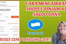 Langsung Masuk Saldo DANA! Ini Cara Pinjam Pakai Shopee Pinjam, Ini Syarat dan Ketentuannya