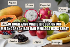 10 Buah yang Wajib Dicoba untuk Melancarkan BAB dan Menjaga Usus Sehat