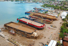 Lebih dari 390 Ribu Pelanggan Manfaatkan Program Electrifying Agriculture dan Marine PLN Hingga 2025