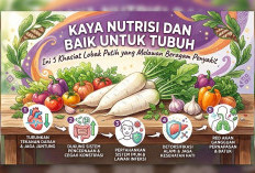 Kaya Nutrisi dan Baik untuk Tubuh, Ini 5 Khasiat Lobak Putih yang Melawan Beragam Penyakit