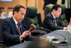 Presiden Jokowi Paparkan Dua Prioritas Kemitraan Ekonomi ASEAN-Jepang