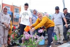 Ratu Dewa Tanam Bunga Hias Jenis Bougenville Di Median Jalan LRT, Palembang Terus ‘Bersolek’