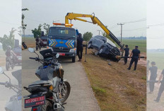 Kepala Dinas PPPAPPKB Ogan Ilir Hantam Tiang Lampu Jalan menuju KPT Tanjung Senai, ini Kondisinya