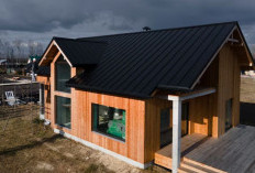 7 Desain Rumah Minimalis Modern 1 Lantai, Bikin Kamu Pengen Cepet Punya Rumah Sendiri, Simple dan Fungsional!