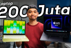 Review MacBook Terbaru: Dari Seri Neo hingga Pro M5 Max, Pilih yang Mana?