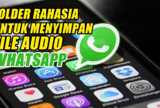 Belum Banyak yang Tahu, WhatsApp Ternyata Punya Folder Rahasia Untuk Menyimpan File Audio, Ini Lokasinya