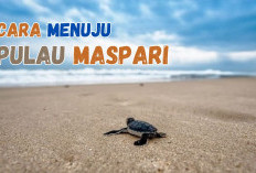 Cara Menuju ke Pulau Maspari, Surga Dunia di Pulau Terluar Sumsel