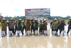 Inilah Bentuk Dukungan Penuh Danrem Gapu Dalam Memperkuat Swasembada Pangan Nasional